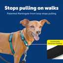 PetSafe 3 in 1 No-Pull Dog Harness for Small Dogs- Walk, Train or Travel - Helps Pets from Pulling on Walks - Seatbelt Loop Doubles as Quick Access Handle - Reflective- Extra Small, Teal