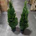 Artificial Topiary Tree 2-Set - Beautiful Realistic Faux Cedar Pines, 3 Feet Tall, UV Protection for Longer Life, Durable 6" Wide Heavy Duty Pots for Outdoor & Indoor Decor (2, 37 Inch)