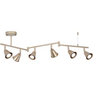 6-Light Modern Track Lighting Fixtures Ceiling, Flexible Foldable Arm and Rotatable Light Head, Champagne Gold Kitchen Track Lighting for Kitchen Islands, Dining Rooms, Bars