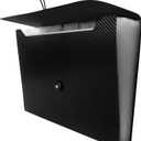 Expanding File Folder with Tabs, 13 Pockets File Organizer Accordion File Holder with Elastic Buckles Closure, A4 Paper Document Organizer for Home School Office