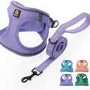 BELLA & PAL Step in Vest Harness for Small and Medium Dogs, No Pull Small Dog Harness with Leash Set, Comfortable Air Mesh Dog Vest Harness with Reflective Strip (Lavender, S)