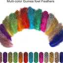 FeelfunFeather 240 pcs Colored Spotted Feathers 2-3inch Bulk Small Guinea Fowl Polka Dot Feather for DIY Crafts Clothing Hats Decoration