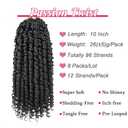 Leeven 10 Inch 8 Packs Pret wisted Passion Twist Crochet Hair Natural Black Pre-looped Short Bob Passion Twists Hair, Bohemian Passion Twist Crochet Braids Crochet Hair Extensions for Women