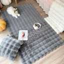 Bedsure 5x7 Fluffy Area Rugs for Living Room, Machine Washable Rugs, Non-Slip Backing, Non-Shedding, Pet Friendly Throw Rug for Bedroom Dining Room, Grey