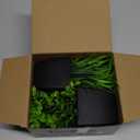 Der Rose 2 Pack Fake Plants Small Artificial Potted Plants Faux Plants Black Bathroom Accessories for Home Office Desk Bathroom Decor Indoor