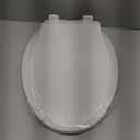 19" Elongated Toilet Seat with Built-In Potty Training Seat, Soft Quiet-Close Lid with Non-Slip Design, Magnetic Kids Seat in White, Easy to Install and Clean