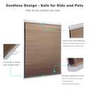MYshade Cordless Blackout Cellular Shades for Windows, Honeycomb Window Shades with Thermal Insulation, Child & Pet Safe Room Darkening Shade, Easy Install, 38" W x 64" H, Light Brown