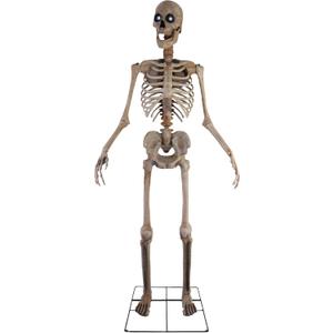 Haunted Hill Farm Motion-Activated 8-Ft. Tall Towering Skeleton, Plug-in Talking Scare Prop Animatronic for Indoor or Covered Outdoor Creepy Halloween Decoration