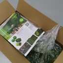 Prefleur Preserved Reindeer Moss Natural Green DIY Kit Gardenning Art Wall Decor Florist Decor Easter Table Decor Wedding (0.85 Lb)