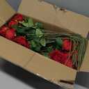 50 PCS Fake Red Roses, Artificial Red Flowers Bulk Realistic Silk Faux Rose with Stems for Wedding Decoration Anniversary Bridal Bouquet DIY Floral Arrangement Romantic Home Decor Gifts