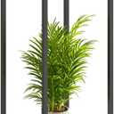 34" Tall Plant Stand Indoor, 2-Tier Modern Plant Shelf, Corner Flower Pot Holder Organizer for Living Room Balcony Patio Garden (Black)