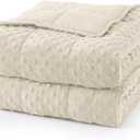 Mr. Sandman Weighted Blanket for Adults Queen Size 15 lbs, Soft Cooling Heavy Minky Blanket for Sleep, Washable Throw Blanket with Glass Beads, 60 x 80 Inches, Ivory