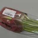 Hanaive 20 Pcs Artificial Anthurium Flowers 23.6 Inch Fake Anthurium Flowers for DIY Vase Bouquets Centerpiece Arrangements Wedding Bridal Shower Party Home Decor (Gradient Red)