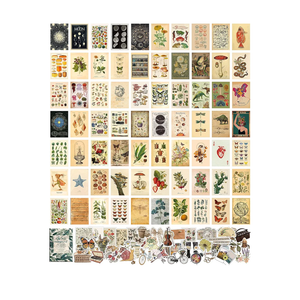 ASMANNA 120 Pcs Vintage Wall Collage Kit Aesthetic Pictures with Pretty Stickers Posters for Room Aesthetic Vintage Botanical Wall Art Cute Dorm Photo Wall Decor for Teen Girls