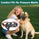 Mayerzon Dog Muzzle for Dogs, Humane Basket Muzzle, Soft & Lightweight & Adjustable | Anti Biting Chewing Eating, Suits Training Walks Grooming Vet Visits, Drink & Pant Easily (Black, L)