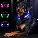 Light Up Dog Collar-Rechargeable & Long-Lasting Power LED Dog Collar Lights for Night Walking, Waterproof & Safety Glowing Collars for Large Dogs [Blue-L]