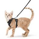 rabbitgoo Cat Harness and Leash for Walking, Escape Proof Soft Adjustable Vest Harnesses for Cats, Easy Control Breathable Reflective Strips Jacket, Black, XS