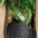 Hollyone 33" Artificial Boston Fern Hanging Basket Large 39 Leaves Fake Ferns in Rattan Pot Greenery Plants for Outdoors & Indoor Faux Fern Bush Basket Plant Patio Garden Home Decor Green
