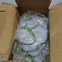 Aquarium Decor, Rock Cave House Shelter for Reptiles, Durable & Easy to Clean, Aquarium Landscape Decoration, Reptile Tank & Terrarium Accessories (Green-Medium)