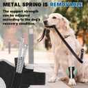 Dog Front Leg Brace with Removable Metal Springs- Adjustable Reflective Ankle Wrap for Dogs, Anti-Slip Reverse-Buckle Design Dog Ankle Brace for Arthritis, Sprains, Injury Recovery (Black, S)