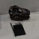 Dinosaur Skull Statue,Dinosaur Sculptures Bracket Tyrannosaurus Skull Replica Decoration Skull Bones Resin Replica with Bracket for Home Office Decor Shelf Display, Black