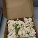 LzLzLflor 32Pcs Champagne Ranunculus Artificial Flowers DIY Home Wedding | Real Touch Ranunculus, Faux Flowers, 32pcs Bulk, Ivory White, Peony Look, Bouquets, Home Decor, Bridal Shower, Centerpieces