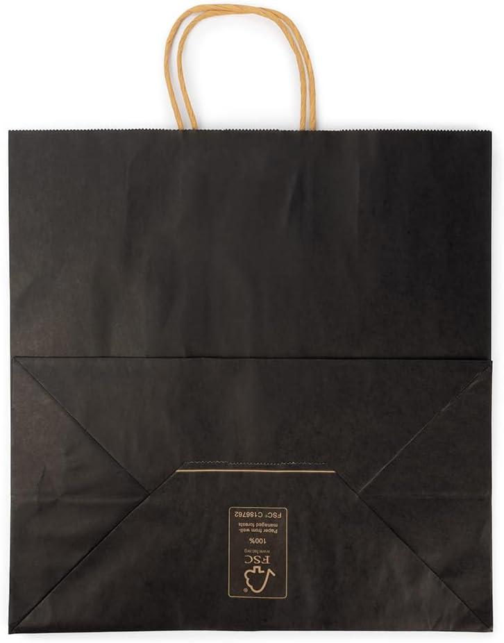 ClearBags Paper Merchandise Handle Bags (Black, 12 1/2 x 7 x 13)