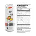CELSIUS Fizz Free Peach Mango Green Tea, Sugar Free Energy Drink, 12 Fl Oz (Pack of 12) (EXP 05/31/27)