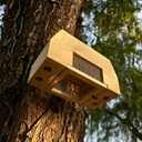 Carpenter Bee Trap for Outside, Leaning Tower Nature Hanging Wood Boring Bee Trap for Outdoor Insect Trap
