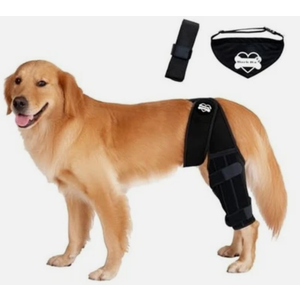 Bark Rx: Dog Knee Brace Hind Leg - Orthopedic Brace for Dogs - Integrated Support Strap for Canine Cruciate Ligament, Luxating Patella, Dislocation Injury - Includes Bandana Collar - Black, Large 