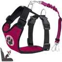 Lukovee Dog Car Harness Seat Belt, Adjustable Mesh Breathable Vest with Elastic Bungee Tether, Soft Padded 2-in-1 Safety Car Harness Seatbelt for Small Medium Large Dogs (Rose,XXS)