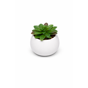 White Spherical Ceramic Planter Succulent Small Plant Pots Indoor Modern Round Decorative Indoor-Outdoor Garden Plant Pots with Drainage Holes - Plants Not Included 3.94 x 3.94 x 3.15 Inch