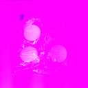 20 PCS Petals Highlighters Bulk, 5-in-1 Multi-Color Flower Shape Fluorescent Highlighter Pens for Students & Teachers, Classroom & Office, School Stationery Aesthetic Supplies