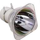 Araca BL-FU195A /BL-FU195B /BL-FU195C /BL-FU190E /RLC-100 /5J.J9R05.001 Replacement Projector Bare Lamp for HD142X HD27 EH345 H183X TW342 S341 S340 DH1011 EH300 HD2500 PJD7828HDL PJD7720HD MX570 MX525