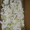 12 Pcs White Delphinium Artificial Flower 35.4'' Long Larkspur Stem White Fake Faux Silk Flowers Bulk for Tall Vase Floral Arrangements Home Centerpiece Table Wedding Decor