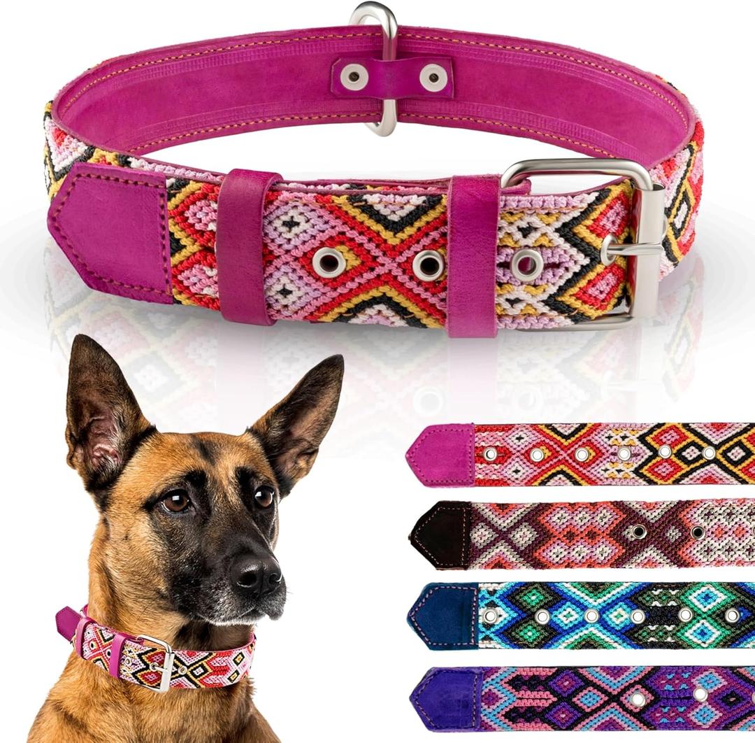 Leather Western Dog Collar - Embroidered, Handmade, Blue Pink, Medium, Cute, Collar para Perros (Rose Blush, Medium)