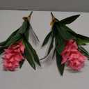 2Pcs Artificial Bromeliad Plants, 18" Fake Hawaiian Ginger Flower,Large Real Touch Faux Tropical Flowers, Lifelike Exotic House Plants for Home Office Indoor Decoration (Pink)