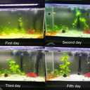 Internal Green Water Killer Aquarium Filter Tank U-V Pump