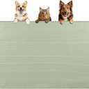 Dog Food Mat, Extra Large 40" x 28" Silicone Pet Feeding Mat for Small, Medium, and Large Pets Non-Slip, Easy to Clean, Green