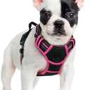 rabbitgoo Dog Harness No Pull with 2 Leash Clips, Adjustable Soft Padded, Reflective Oxford No Choke Pet Vest with Easy Control Handle for Large Dogs, Black & Hot Pink, Smal