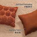Rust Red Fall Pumpkin Decorative Throw Pillow Covers Set of 2, 18x18 Inch Soft Plush 3D Embroidered Halloween Pillow Covers for Fall Decorations Farmhouse Cushion Covers for Thanksgiving