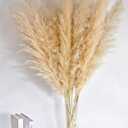 46" inch 10 Stems Natural Pampas Grass Decor Tall, Pompas Grass, Tall Pampas Grass for Weddingm, Farmhouse, Boho Home Decor (Ivory)