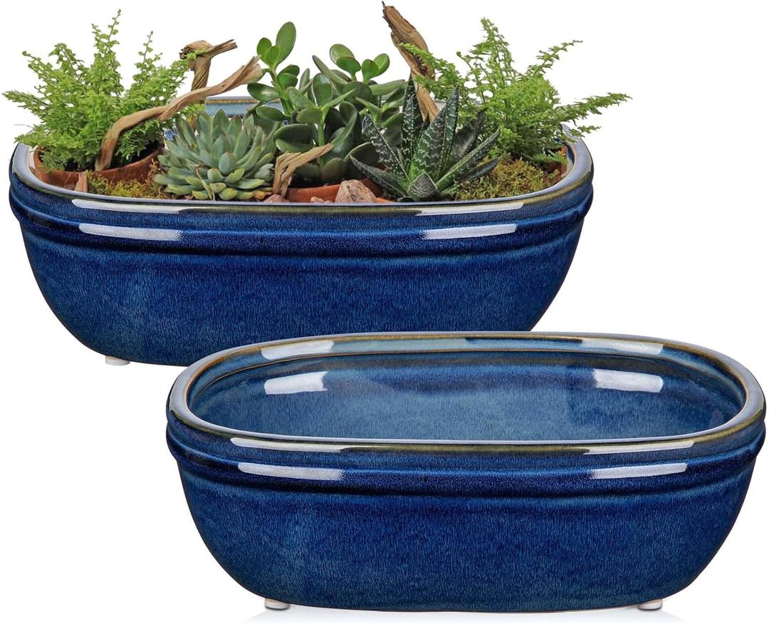 DILATATA Set of 2 Oval Ceramic Bonsai Planter Pots (9.3 x 6.3)  Glazed Succulent & Cactus Flower Pots Without Holes for Indoor & Outdoor Plants, Bonsai Tree Pot Decorative Garden Containers