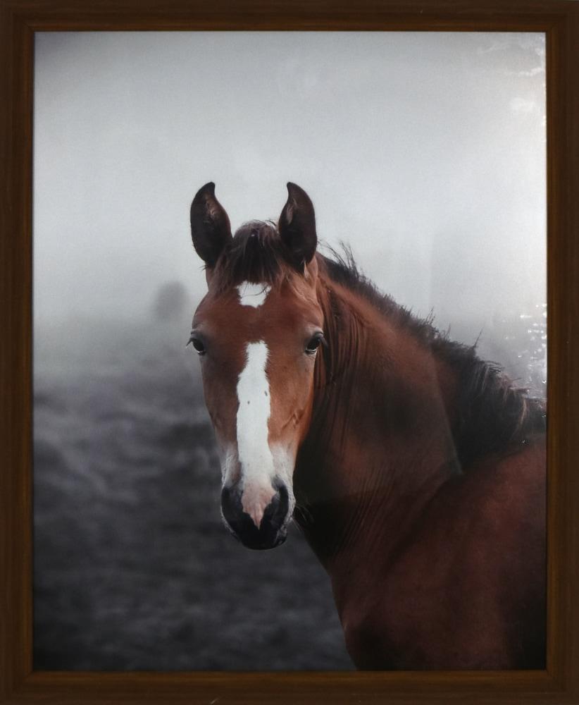 Crystal Art Gallery Horse Art Print Equine Framed Wall Art 
15" x 19"
