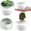 4 Set 4 Inch African Violet Pots Self Watering White Ceramic Planter Highly Absorbent Inner Planter Pot for Indoor Plants Plant Lovers Ideal Plant Pot Thriving Plant Flower Maintenance