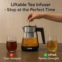 Electric Tea Kettle with Infuser 1.7L Glass Electric Kettle with Temperature Control Automatic Shut Off 12H Keep Warm for Tea Coffee Water Heater, Black