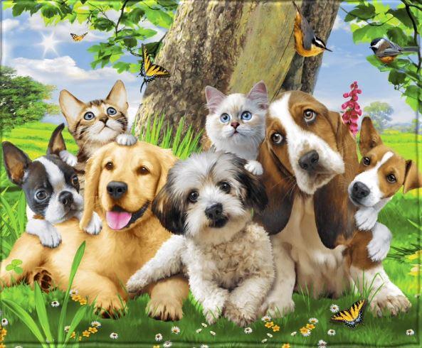Dawhud Direct | Fleece Throw Blanket By Howard Robinson Puppy And Kitten Pals