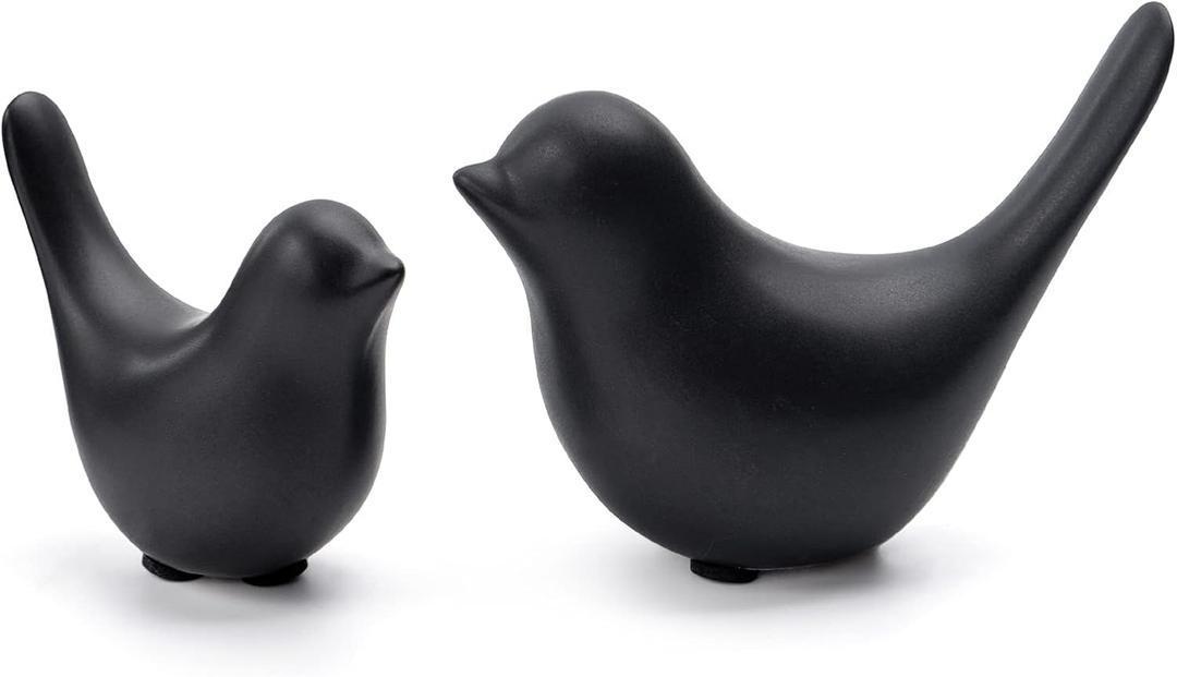 Notakia Small Birds Statues Home Decor Modern Style Birds Decorative Ornaments for Living Room, Bedroom, Office Desktop, Cabinets (Black 2Pcs)