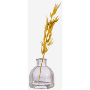 Set of 4 Bud Vases Small Glass 6.2cm - Clear