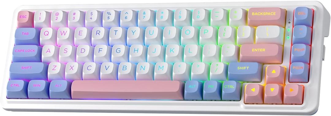 Redragon K709 PRO 65% Wireless Gasket RGB Gaming Keyboard, 68 Keys Hot-Swap Compact Mechanical Keyboard w/Free-Mod Socket, 5-Layer Noise Dampening & Round PBT Keycaps, Quiet Custom Linear Switch (Mint Mambo Switch, Wonder Pink & Blue)